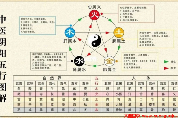 2012年属什么命卦:探讨八字与命运的关系 2012年属什么命卦:探讨八字与命运的关系