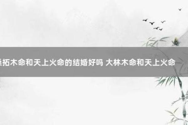 探秘天上火命:如何选择适合的颜色让生活更精彩! 探秘天上火命:如何选择适合的颜色让生活更精彩!