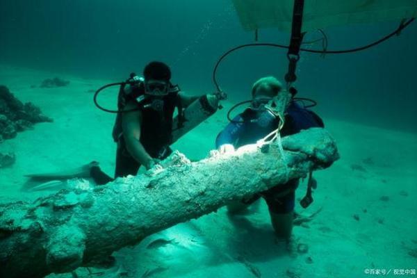 湖里有几条命:探秘水下生物的奇妙世界 湖里有几条命:探秘水下生物的奇妙世界