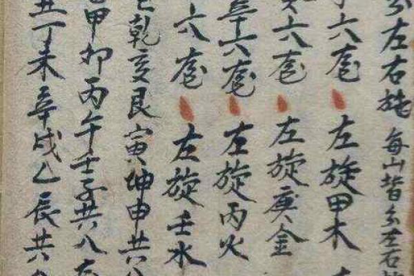 甲木命适合的配饰选择,提升个人魅力与气场! 甲木命适合的配饰选择,提升个人魅力与气场!