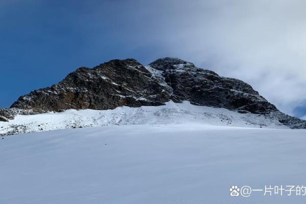 手上没有斗的命,揭示了人生的另一种可能性 手上没有斗的命,揭示了人生的另一种可能性