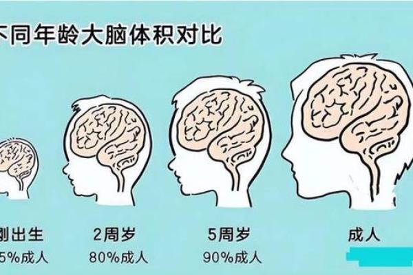 探索11月出生者的命运与个性魅力 探索11月出生者的命运与个性魅力