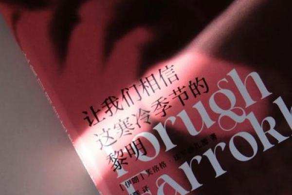 被丢弃的孩子:在绝望中寻找希望的故事 被丢弃的孩子:在绝望中寻找希望的故事