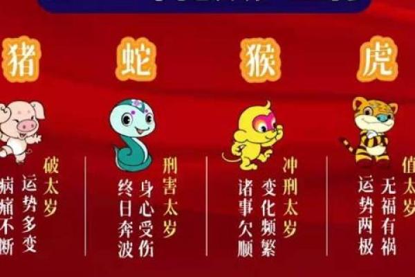 2022年虎年,探秘虎年命的深层含义与优势 2022年虎年,探秘虎年命的深层含义与优势