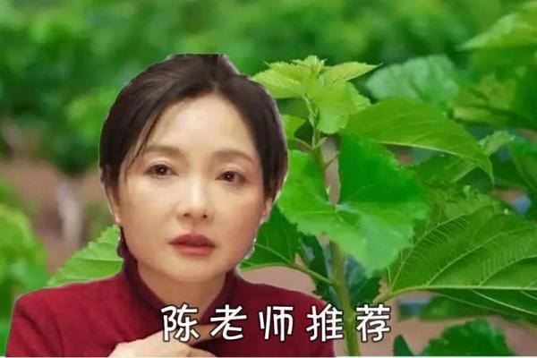 路旁土命者的生活指南:注意事项与养生妙招 路旁土命者的生活指南:注意事项与养生妙招