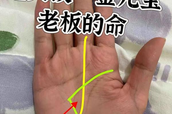 掌纹解析：手上繁复纹路暗藏的命运秘密