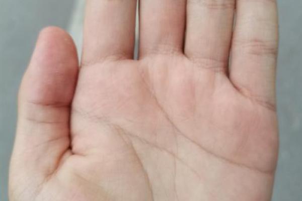 掌纹解析：手上繁复纹路暗藏的命运秘密