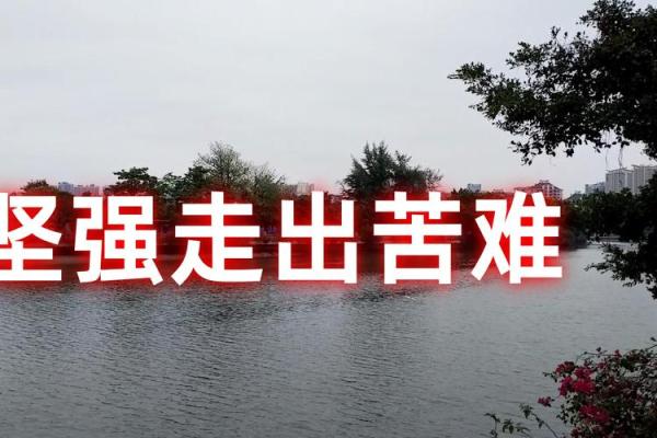 探讨不幸人生背后的命运与选择，如何转变命运轨迹？