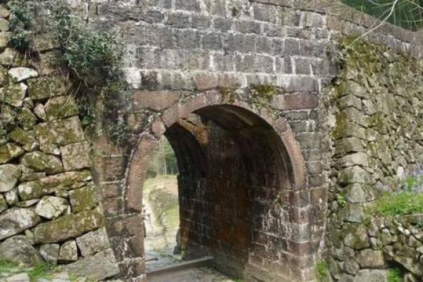 探寻城墙的土命纹:古老符号背后的文化与智慧 探寻城墙的土命纹:古老符号背后的文化与智慧