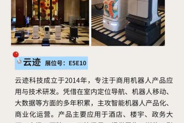 8081年出生的人命运解析:人生的哲学与智慧之旅 8081年出生的人命运解析:人生的哲学与智慧之旅