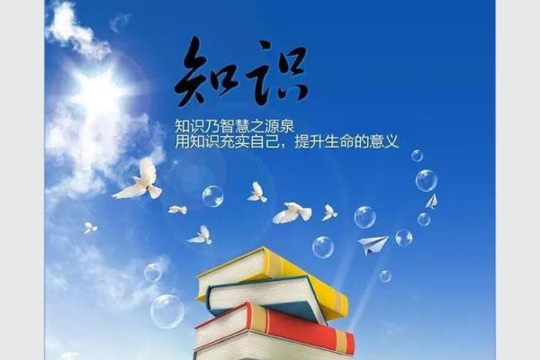 揭秘甲申命主的学历:从历史中看知识的重要性 揭秘甲申命主的学历:从历史中看知识的重要性
