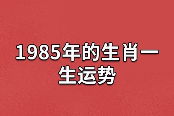 1913年属牛的命理分析与人生启示 1913年属牛的命理分析与人生启示