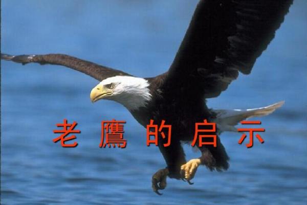 1949年命卦的魅力与启示:探索人生的智慧之道 1949年命卦的魅力与启示:探索人生的智慧之道