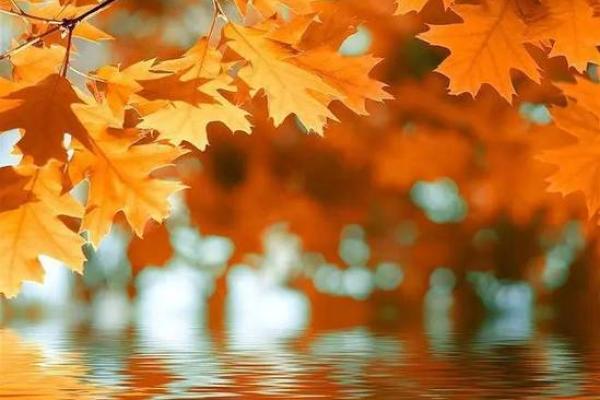 90年冬至出生的人命运揭秘:你的命格与未来如何? 90年冬至出生的人命运揭秘:你的命格与未来如何?