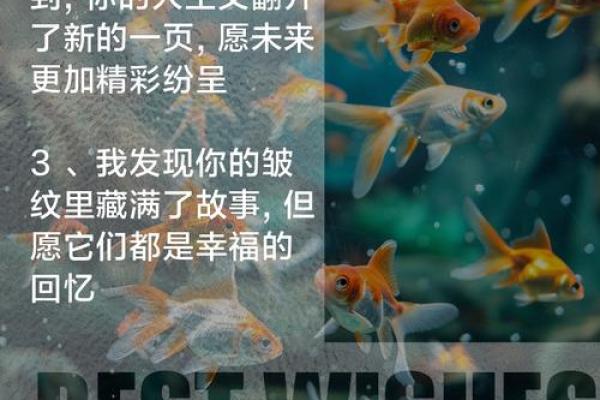 1971年出生的人命运:风华正茂的岁月与人生智慧 1971年出生的人命运:风华正茂的岁月与人生智慧