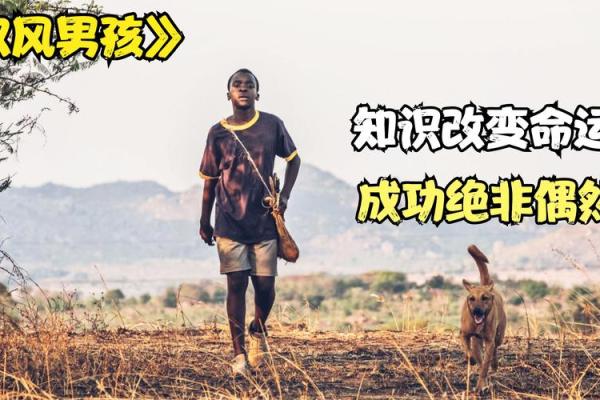 内向男孩的命运:寻找自我与内心的平和之路 内向男孩的命运:寻找自我与内心的平和之路