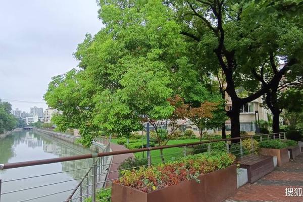 脖子后面肉厚,究竟预示着什么命运?解密你的命理之谜! 脖子后面肉厚,究竟预示着什么命运?解密你的命理之谜!