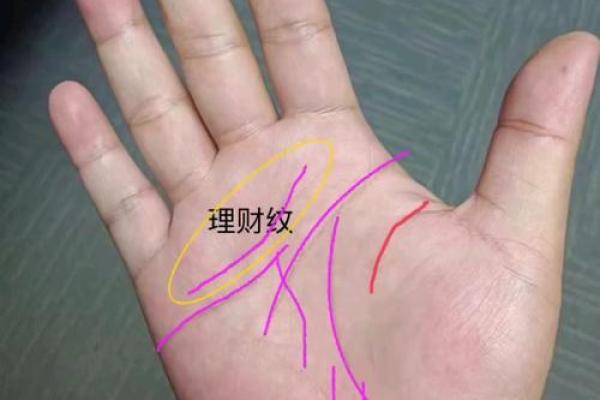 手相很乱的人命运解析:解读混乱纹路背后的秘密 手相很乱的人命运解析:解读混乱纹路背后的秘密