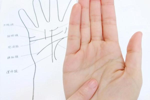 2017年属鸡人的命运与取名技巧:助你一生顺风顺水 2017年属鸡人的命运与取名技巧:助你一生顺风顺水