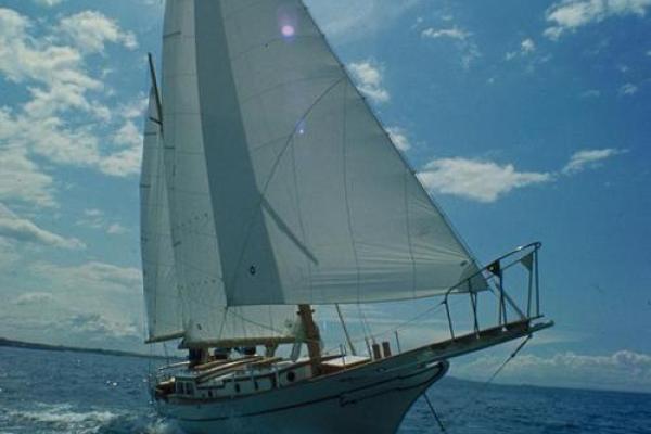 冬月生日：命运与个性的交织，揭示你人生的秘密