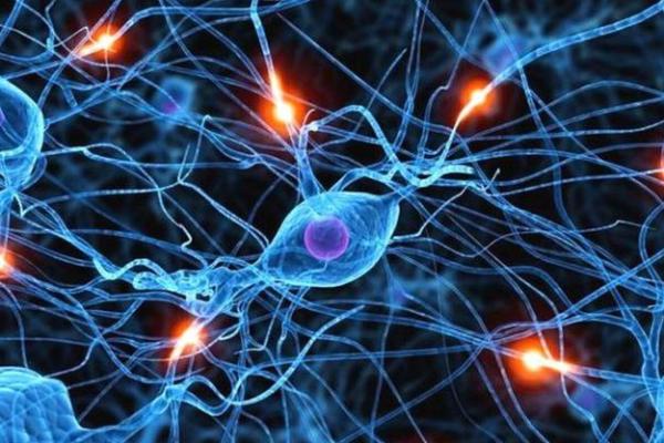 井绳命:深邃的命理智慧与生命的连接之道 井绳命:深邃的命理智慧与生命的连接之道