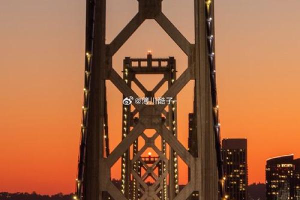 无妻无子女的人生哲学:自由与责任的平衡之旅 无妻无子女的人生哲学:自由与责任的平衡之旅