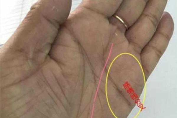 手相很乱的人命运解析:解读混乱纹路背后的秘密 手相很乱的人命运解析:解读混乱纹路背后的秘密