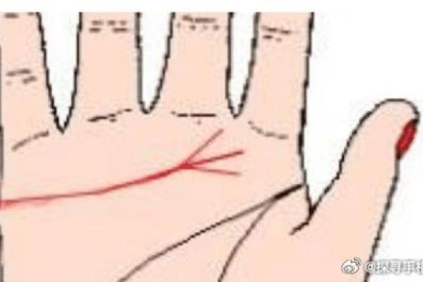 手相浅薄,命格虽薄却深藏玄机!探秘浅手相的命理真相! 手相浅薄,命格虽薄却深藏玄机!探秘浅手相的命理真相!