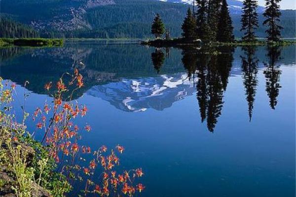 土鸡养殖的家居布置与风水之道:助您迎来财运与好运 土鸡养殖的家居布置与风水之道:助您迎来财运与好运