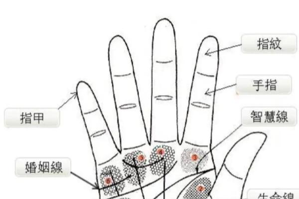 揭秘!手相解读:如何通过手相识别上等命的人 揭秘!手相解读:如何通过手相识别上等命的人