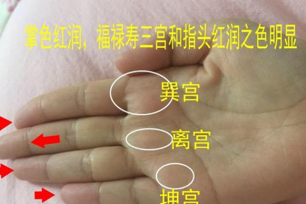 揭秘!手相解读:如何通过手相识别上等命的人 揭秘!手相解读:如何通过手相识别上等命的人