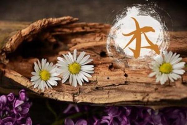 木命人的供奉之道:看如何为生命增添活力与平衡 木命人的供奉之道:看如何为生命增添活力与平衡