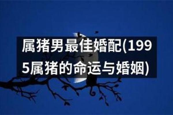 1959年属猪的命运与性格解析:他们的生活之道 1959年属猪的命运与性格解析:他们的生活之道