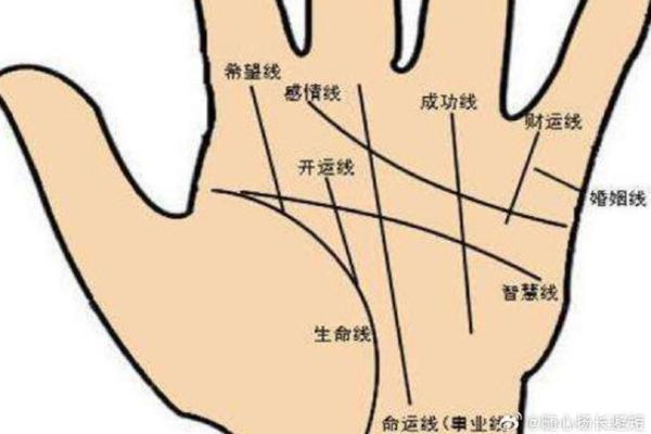 透视手相之道:探索上等命的神秘之手! 透视手相之道:探索上等命的神秘之手!