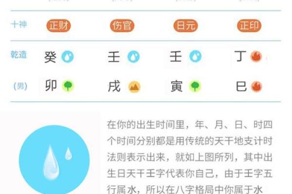 1979年正月：辰年命主的命运与人生之旅