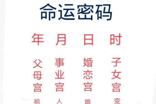 1979年正月：辰年命主的命运与人生之旅