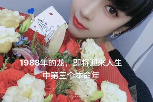 1988年出生的人:属龙命的魅力与人生轨迹 1988年出生的人:属龙命的魅力与人生轨迹