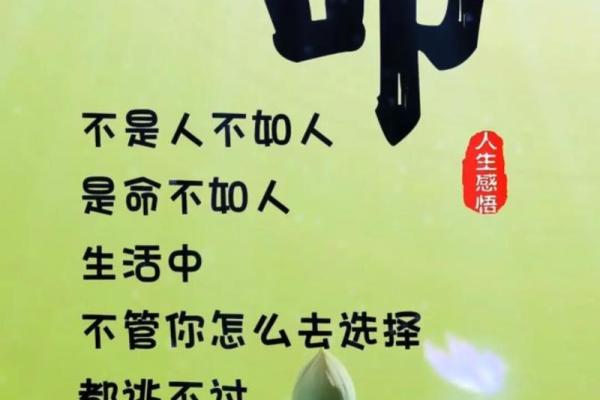 1979年正月生人命运分析：揭示你的命格与人生方向