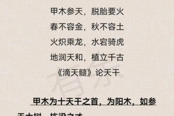 甲子日生的人:命运与性格的深度解析 甲子日生的人:命运与性格的深度解析