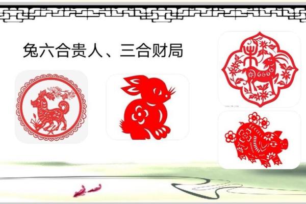 揭秘87兔的命运与配对，助你掌握人生方向
