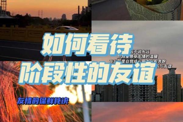 过命友情：那些陪伴我们走过风雨的灵魂伴侣