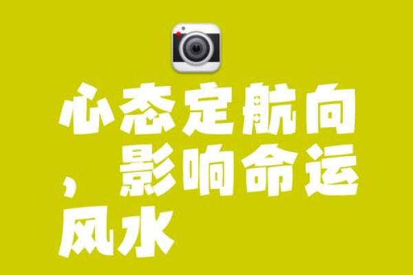 83年属猪水命的性格与命运解析:了解缺什么才能更好前行 83年属猪水命的性格与命运解析:了解缺什么才能更好前行