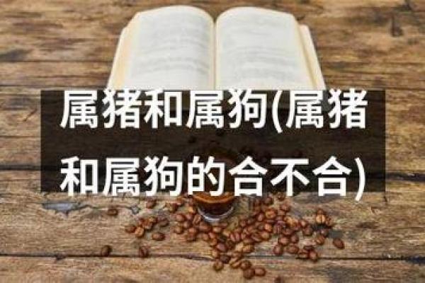 82年属猪人的水命解析与人生建议