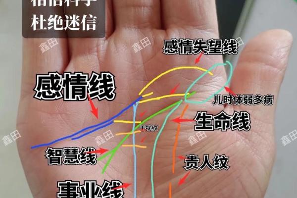 掌握手相奥秘，揭示你天生的劳碌命运！