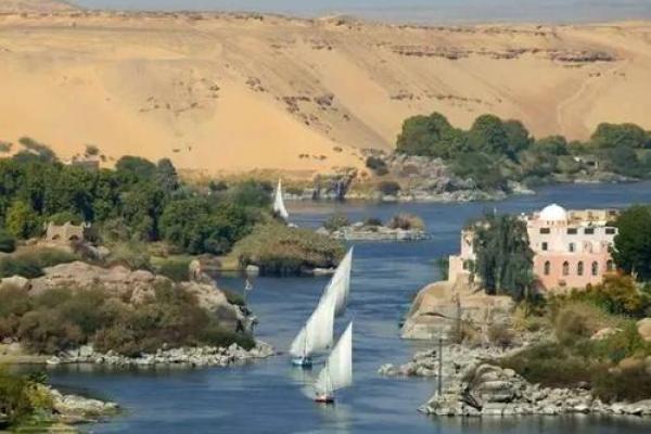 四川人“九条命”的神秘传说与现代解读 四川人“九条命”的神秘传说与现代解读