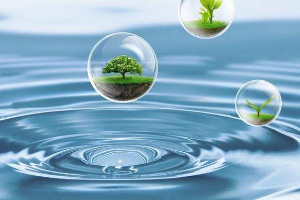 以水为鉴，堤固命长：探索自我与环境的相互作用