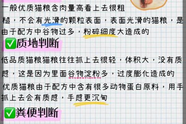 养猫人的命运：如何成为猫咪的最佳伴侣