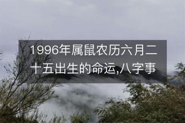 1996年属鼠,九月出生的命运与运势解析 1996年属鼠,九月出生的命运与运势解析
