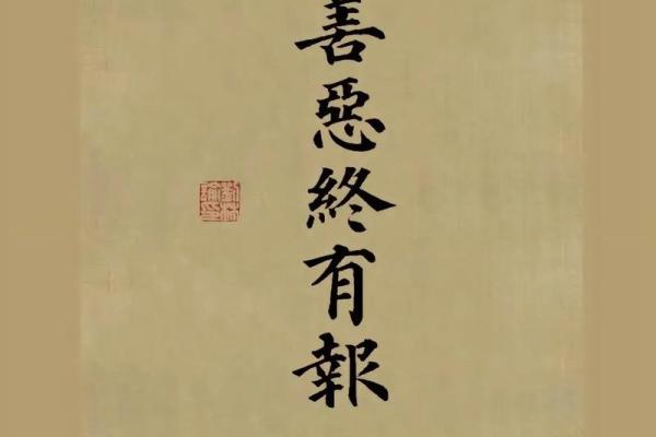 缘起皆是命：探寻生活的深层意义与偶然性