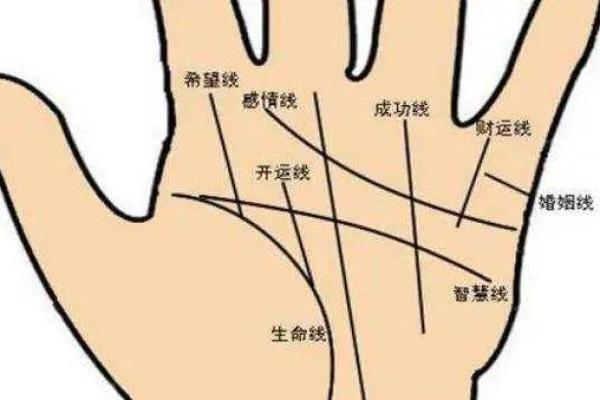女人手粗短是什么命？探讨手相与命运的关系
